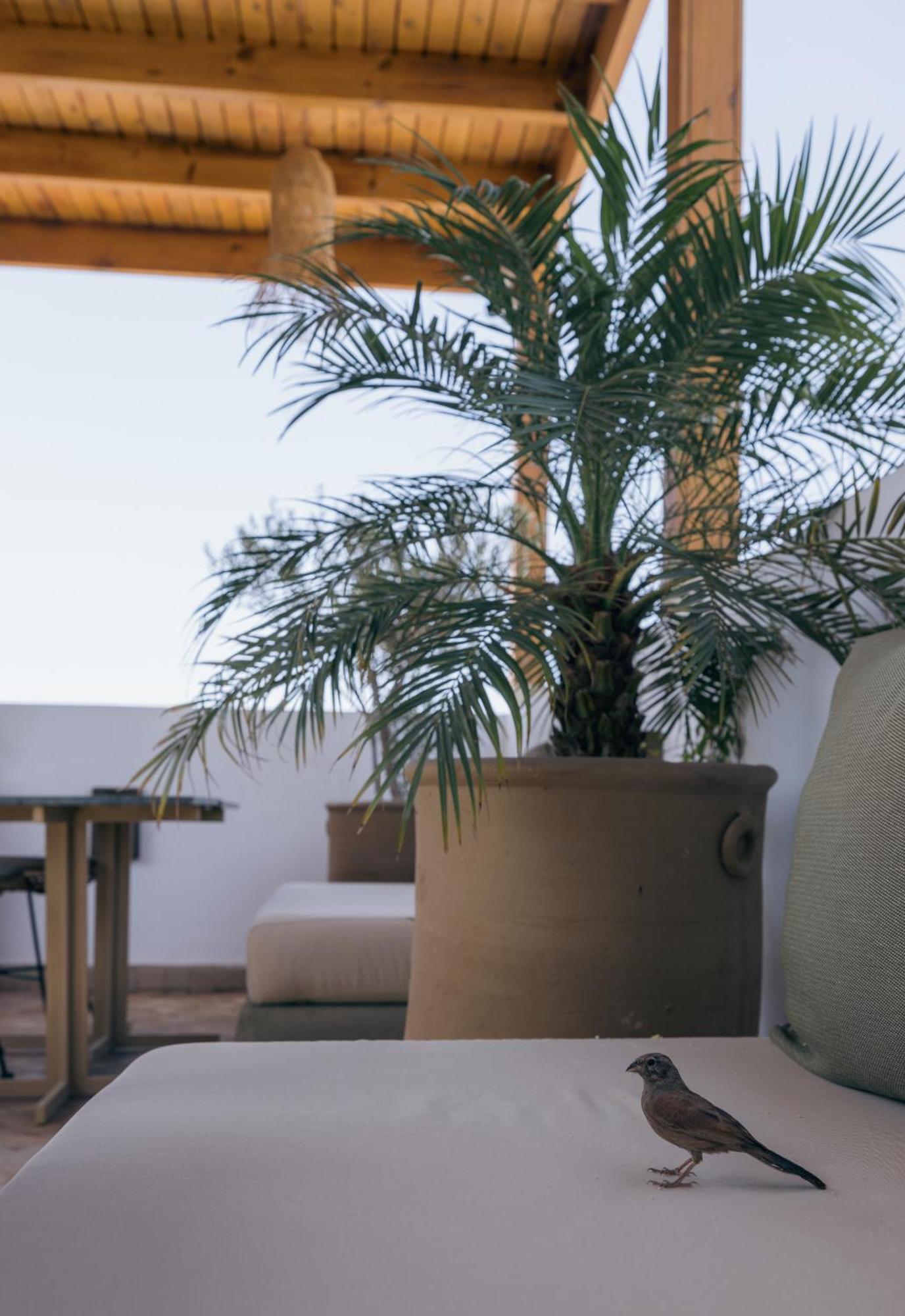 Riad Dar Bayane Marrakesh Eksteriør billede